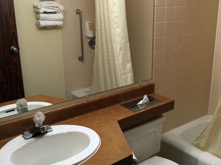 فندق صغير Cedar Inn