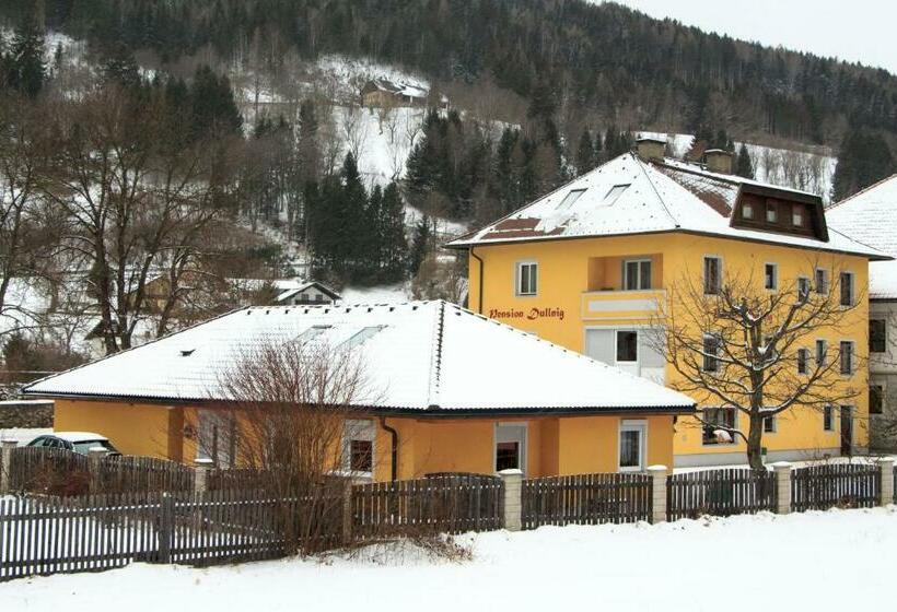 فندق صغير Pension & Ferienwohnung Dullnig