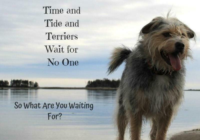 فندق صغير Seawind Landing Country Inn