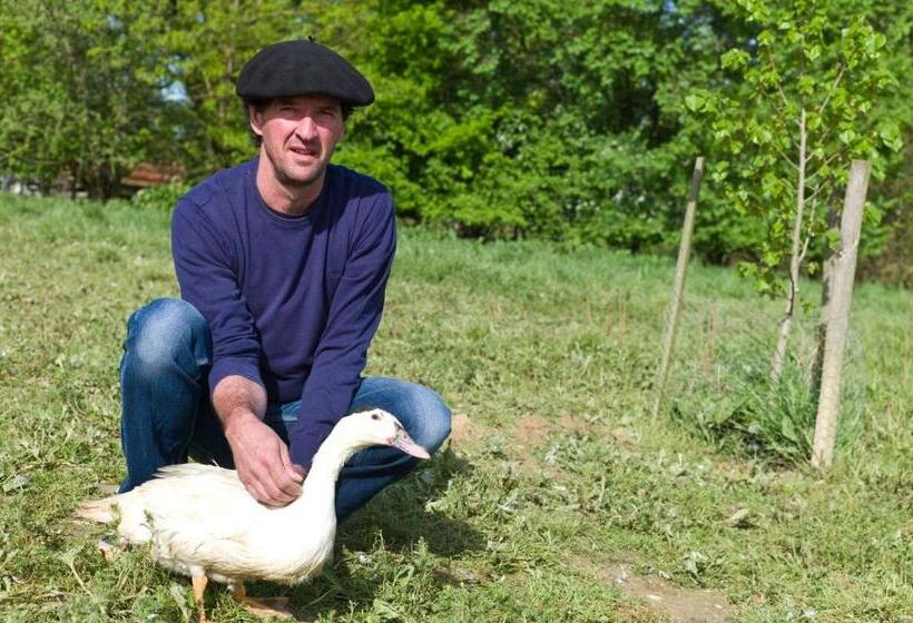 B&b La Ferme De La Patte D'oie