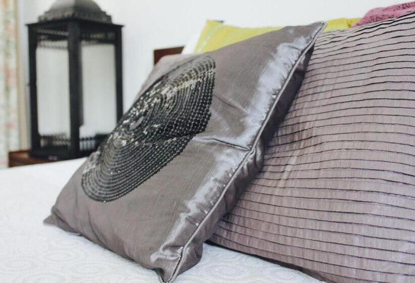 Bed and Breakfast A Moderna   Caldas Da Felgueira