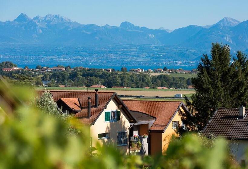 Bed and Breakfast Cave Du Treyblanc