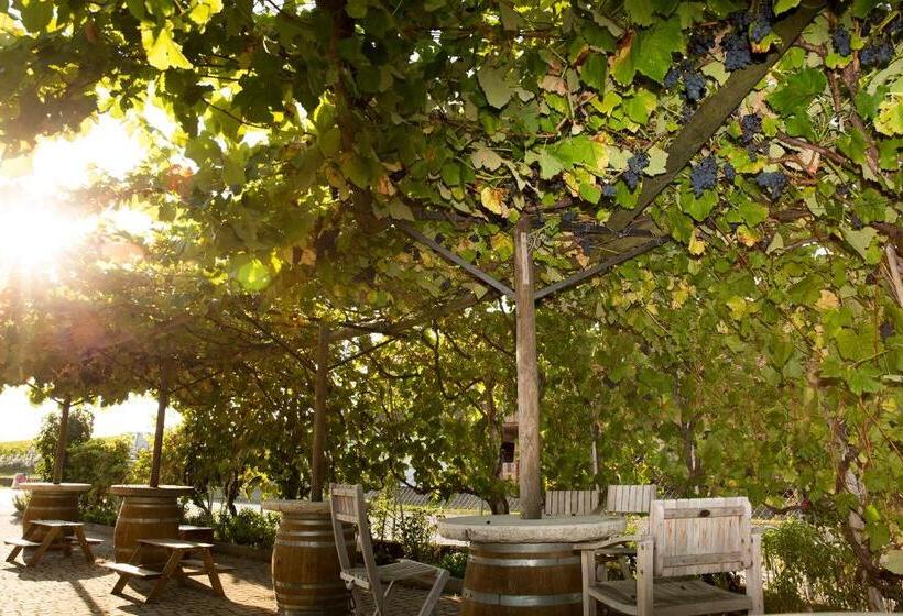 Bed and Breakfast Cave Du Treyblanc