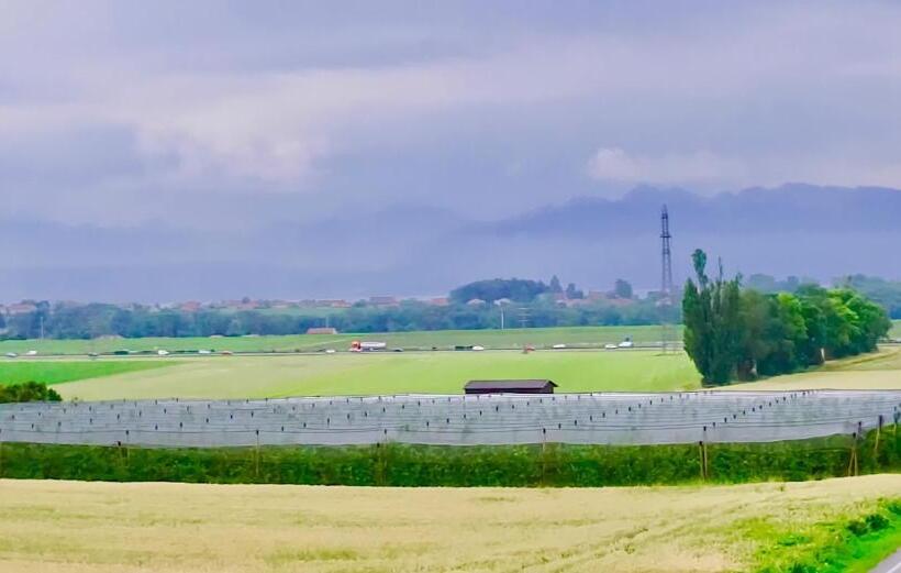 Bed and Breakfast Cave Du Treyblanc