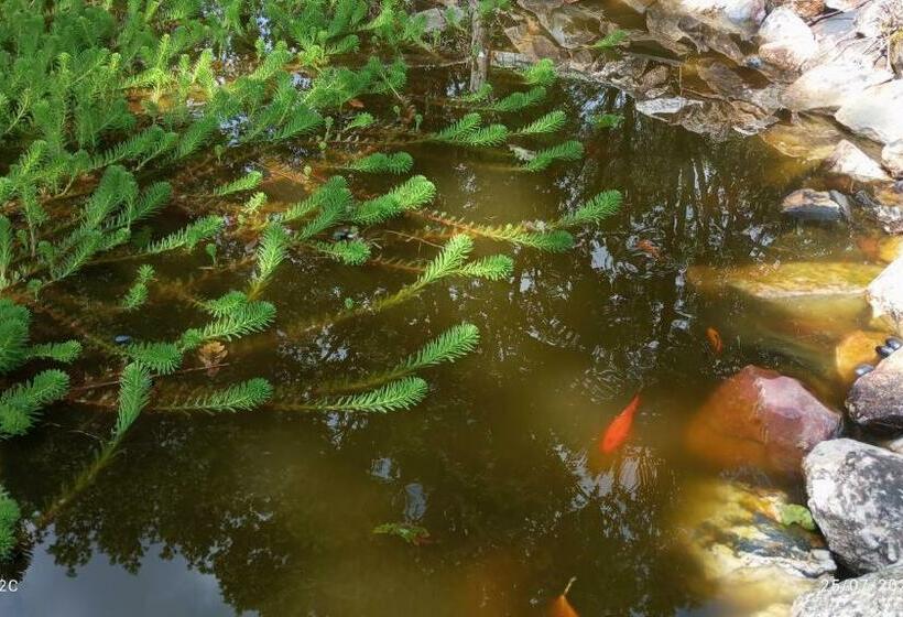Bed and Breakfast Chambre D Hôtes Saint Jacob Relais De Chasse Du Xviii Siècle