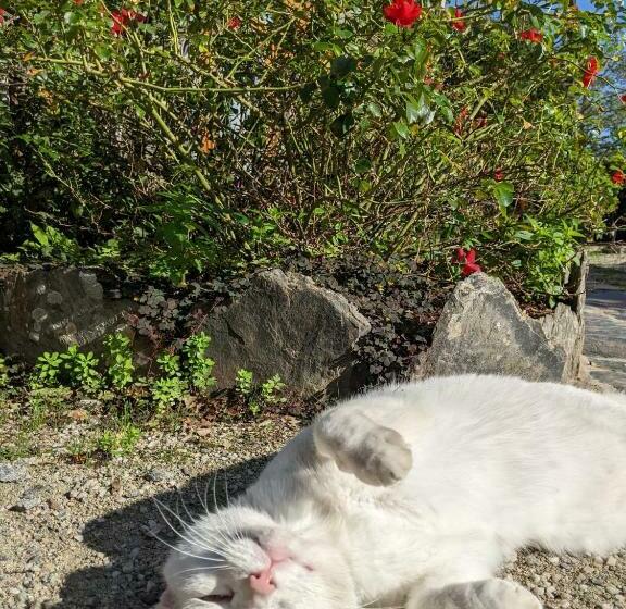 Bed and Breakfast Chambre D Hôtes Saint Jacob Relais De Chasse Du Xviii Siècle