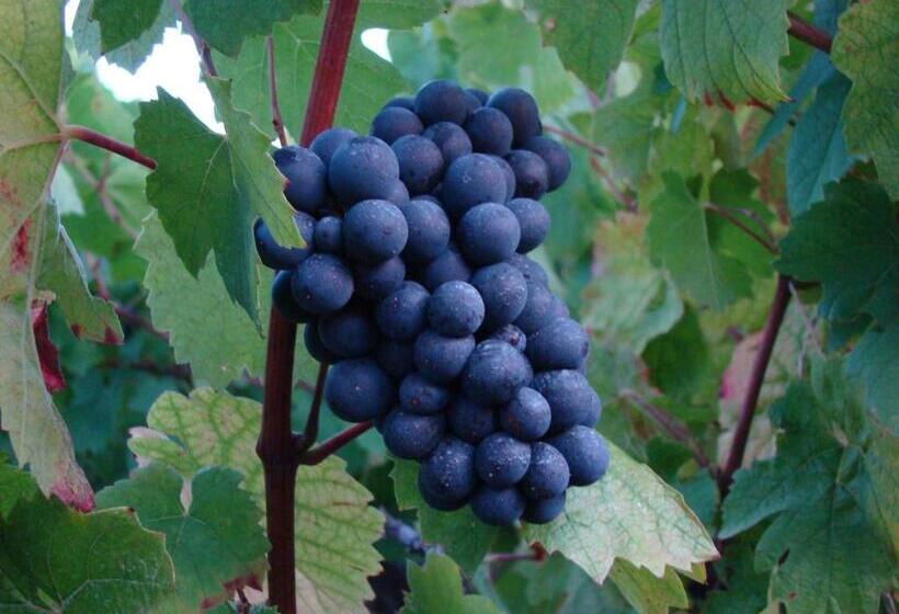 민박 Chambre D'hôtes Les Plaisances