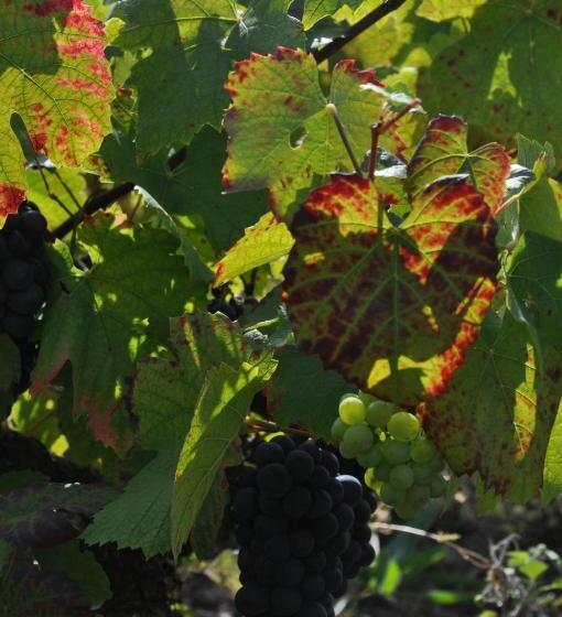 민박 Chambre D'hôtes Les Plaisances