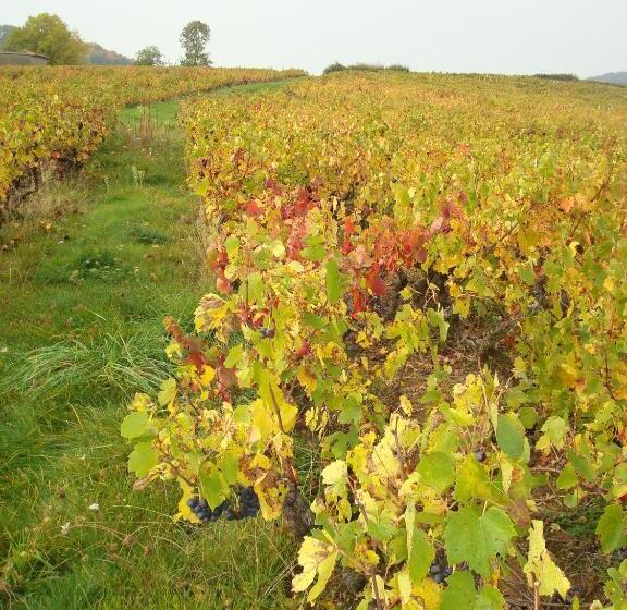 민박 Chambre D'hôtes Les Plaisances