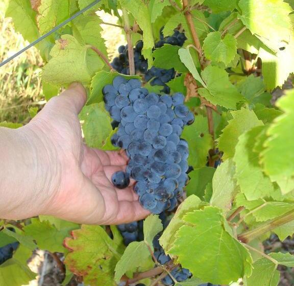 민박 Chambre D'hôtes Les Plaisances