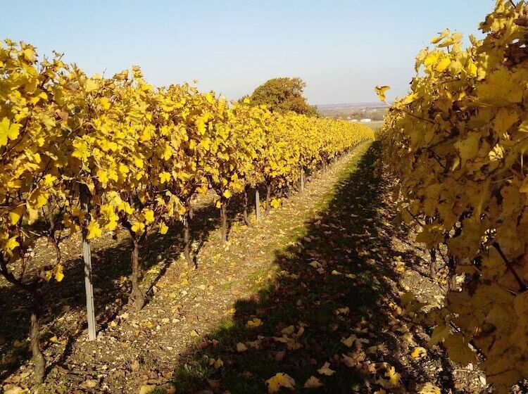 住宿加早餐  Chambres D Hôtes L Adalie