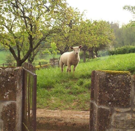 住宿加早餐  Domaine De Drémont