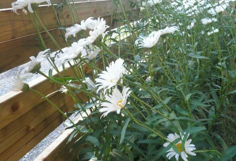 민박 Domaine De La Vigne