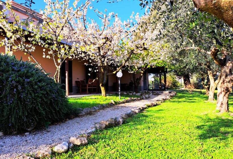 צימר Don Federico Country Inn