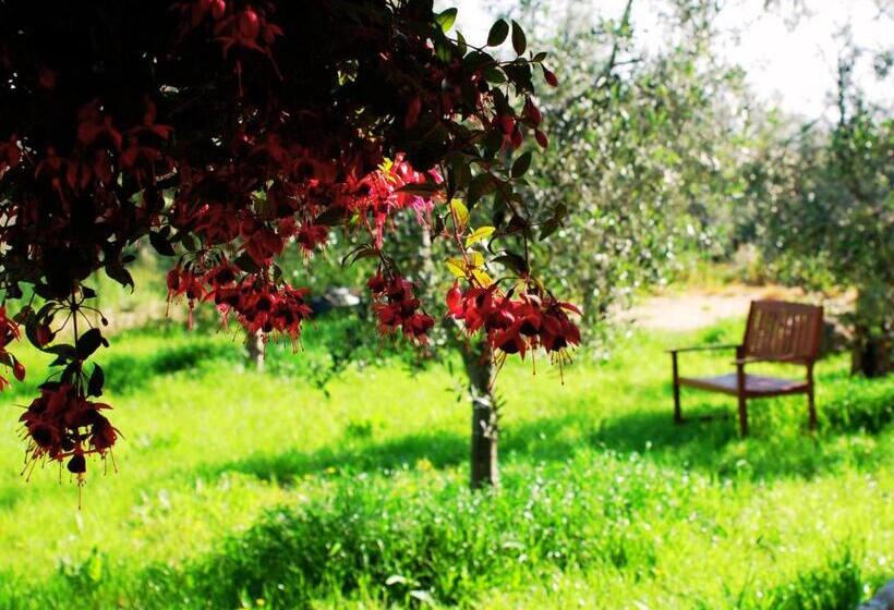 צימר Don Federico Country Inn