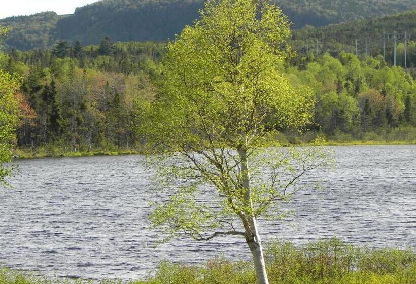 مبيت وإفطار Rumi Guest House On The Cabot Trail