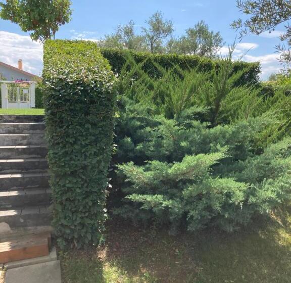 צימר Gioia In Collina