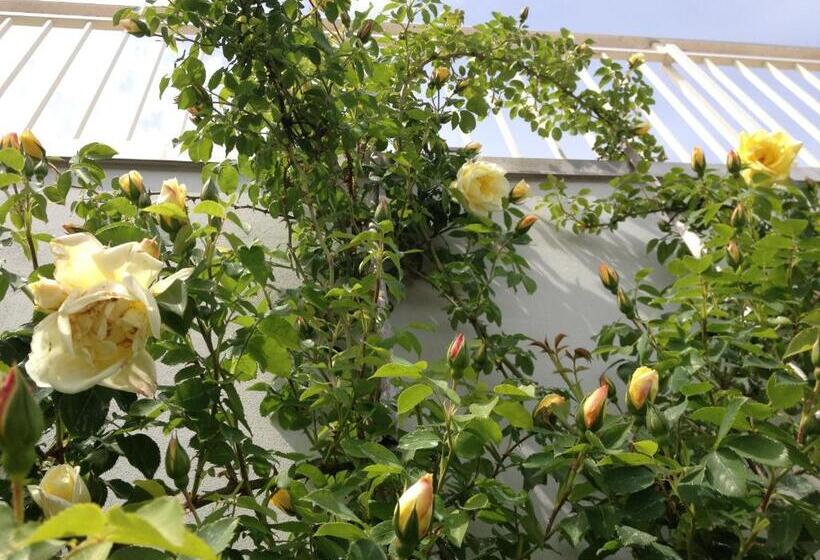 צימר Gioia In Collina