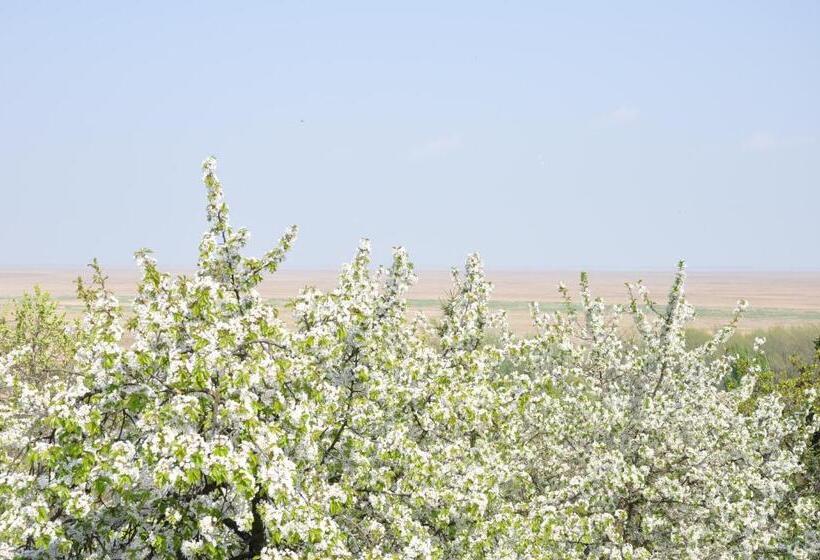 민박 Gloriett Panzió