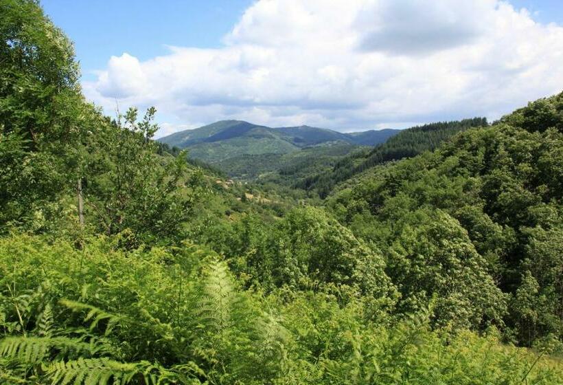 住宿加早餐 L Auréluce