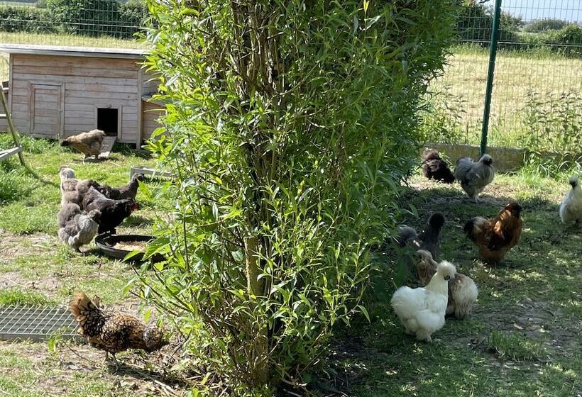 Bed and Breakfast La Ferme Du Paradis