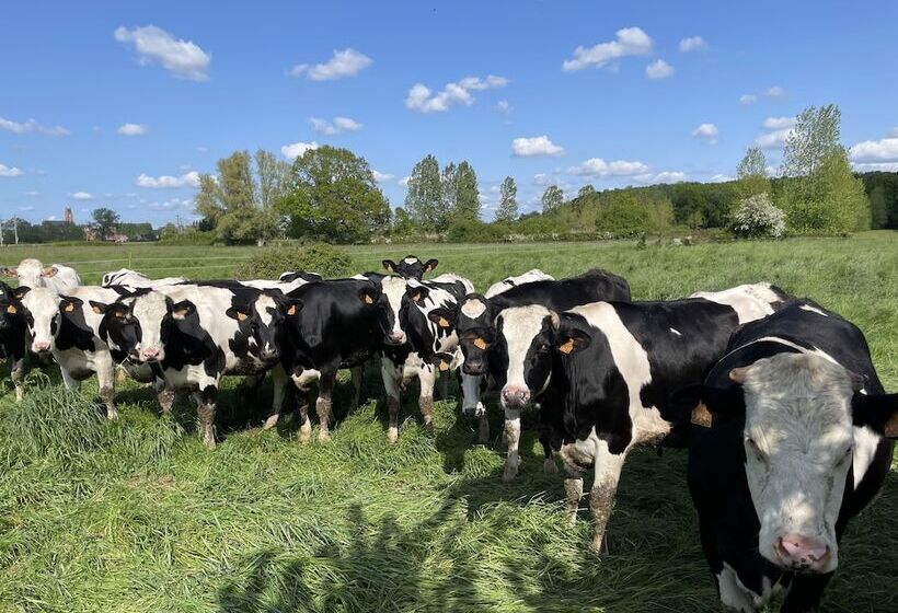 Bed and Breakfast La Ferme Du Paradis