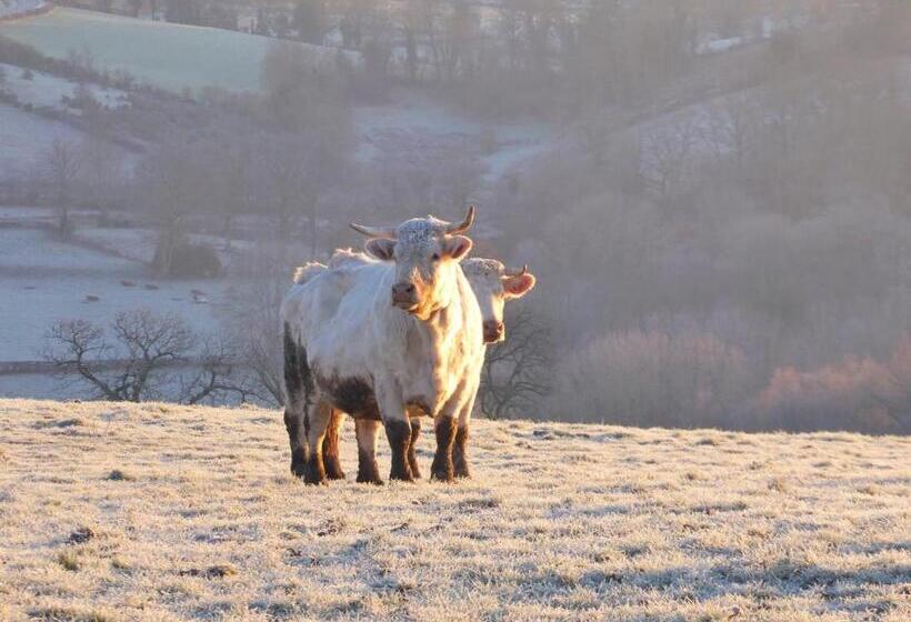 مبيت وإفطار La Roulotte De Lola   Chambre D Hôtes