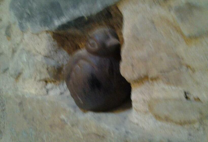 민박 Le Clos Du Merle