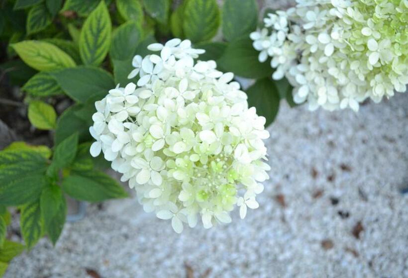 مبيت وإفطار Le Moulin De Lusseau