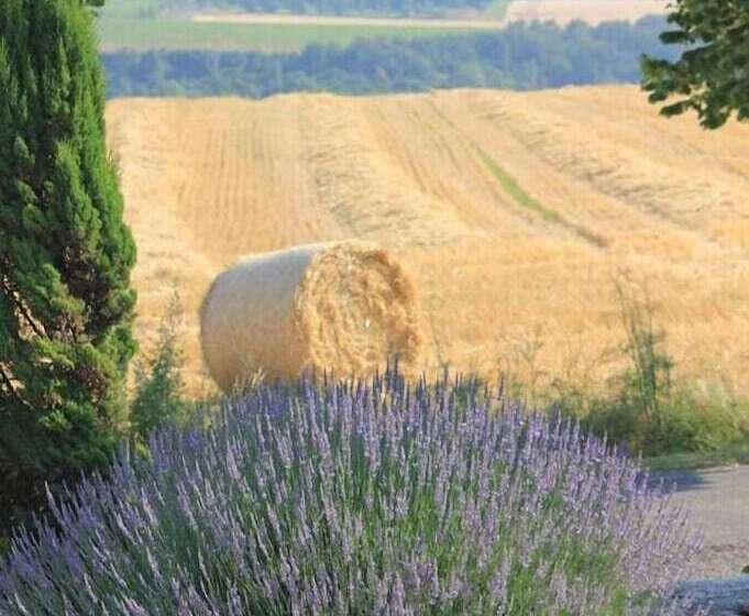 민박 Le Moulin Pastelier