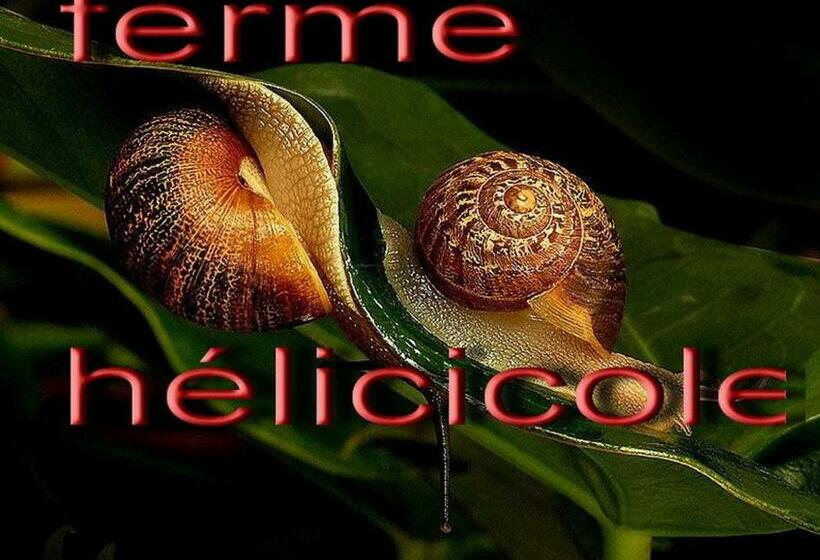 مبيت وإفطار Les Chambres D'helix