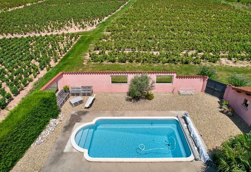 Bed and Breakfast Les Glycines Domaine Gilles Coperet