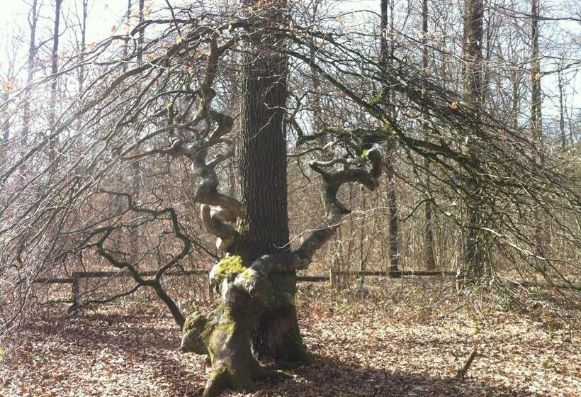 Bed and Breakfast Manoir De Montflambert