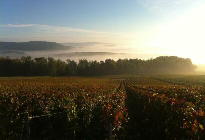 Bed and Breakfast Manoir De Montflambert