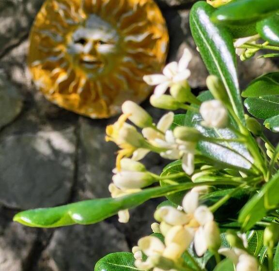 住宿加早餐  Mas De Bouilhac