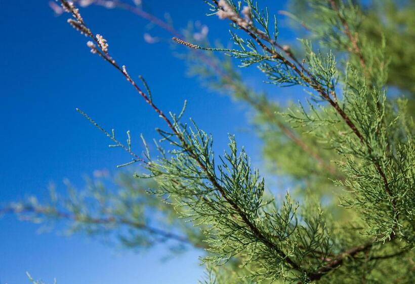 住宿加早餐 Ocean Breeze