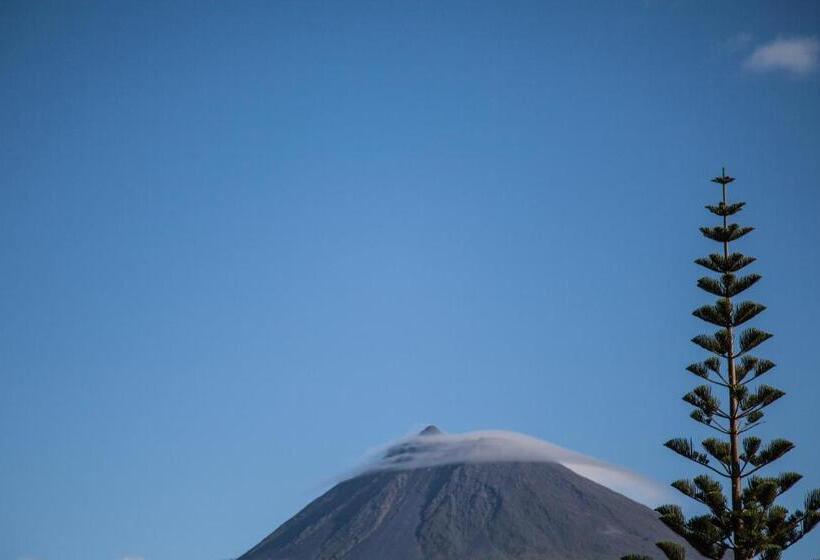 住宿加早餐 Ocean Breeze