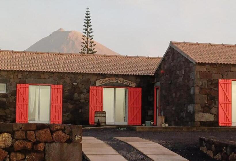 住宿加早餐 Ocean Breeze