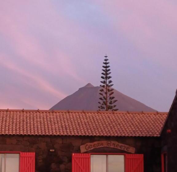 住宿加早餐 Ocean Breeze