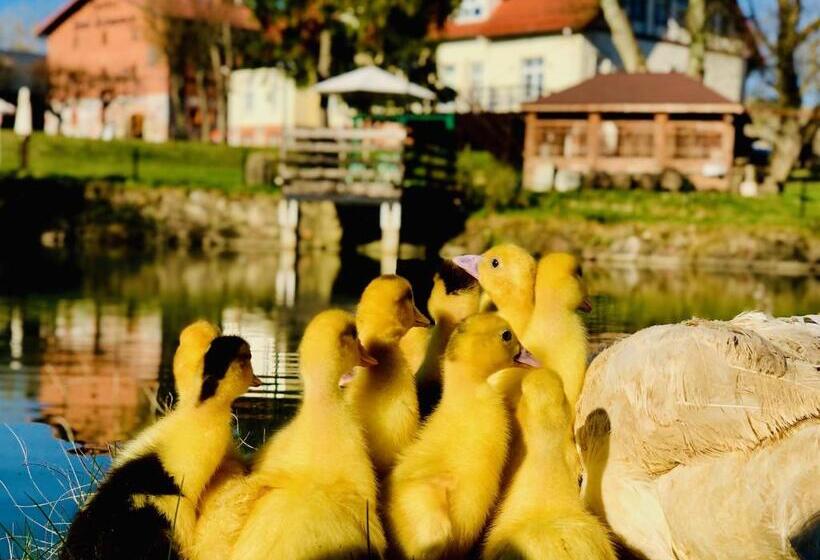 צימר Pałac Spichrz