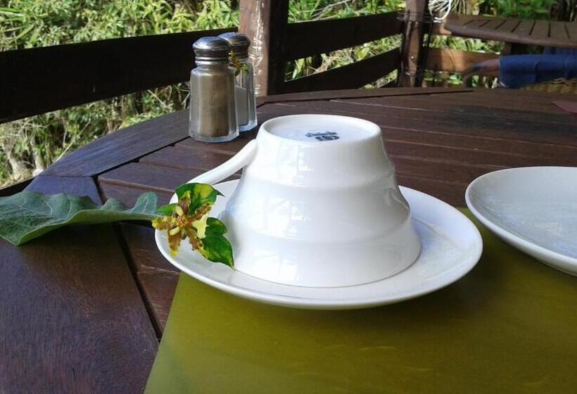 تختخواب و صبحانه Rinconcito Verde