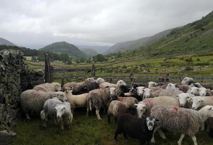 ベッドアンドブレックファースト Stybeck Farm