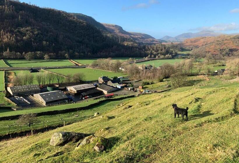 ベッドアンドブレックファースト Stybeck Farm