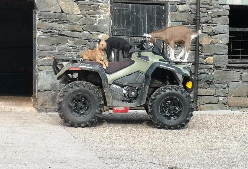 ベッドアンドブレックファースト Stybeck Farm