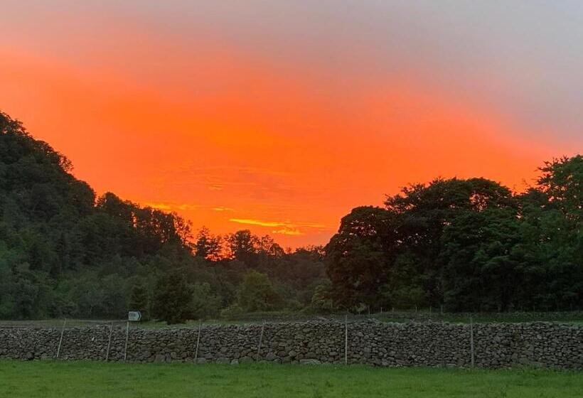 ベッドアンドブレックファースト Stybeck Farm