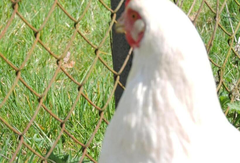 مبيت وإفطار Vinita Chambres D'hôtes