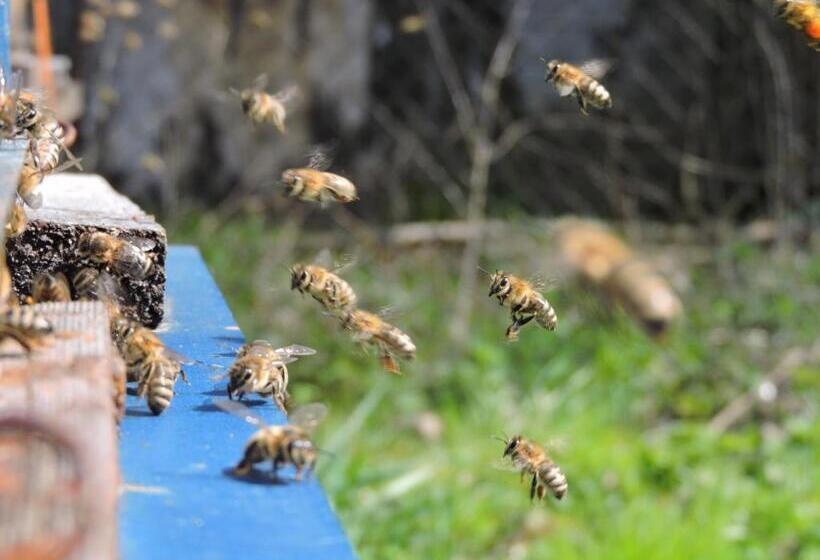 민박 Vinita Chambres D'hôtes