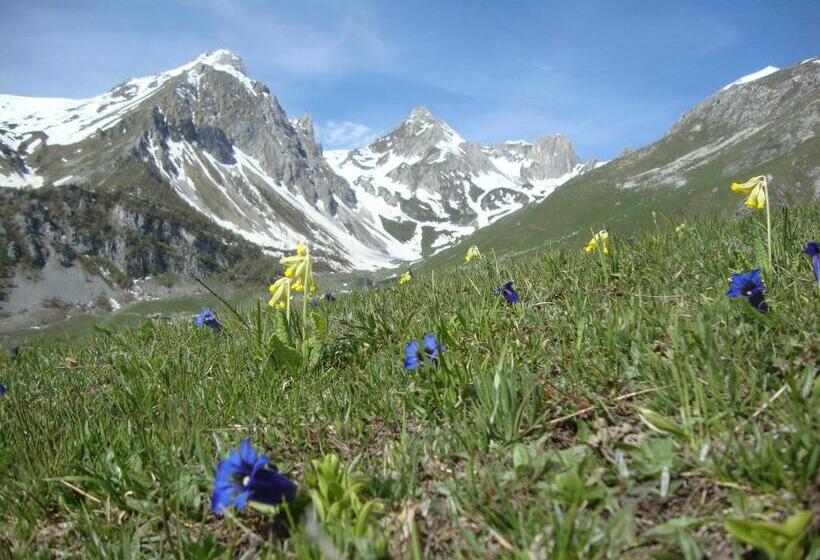 Bed & Breakfast Barba Bertu