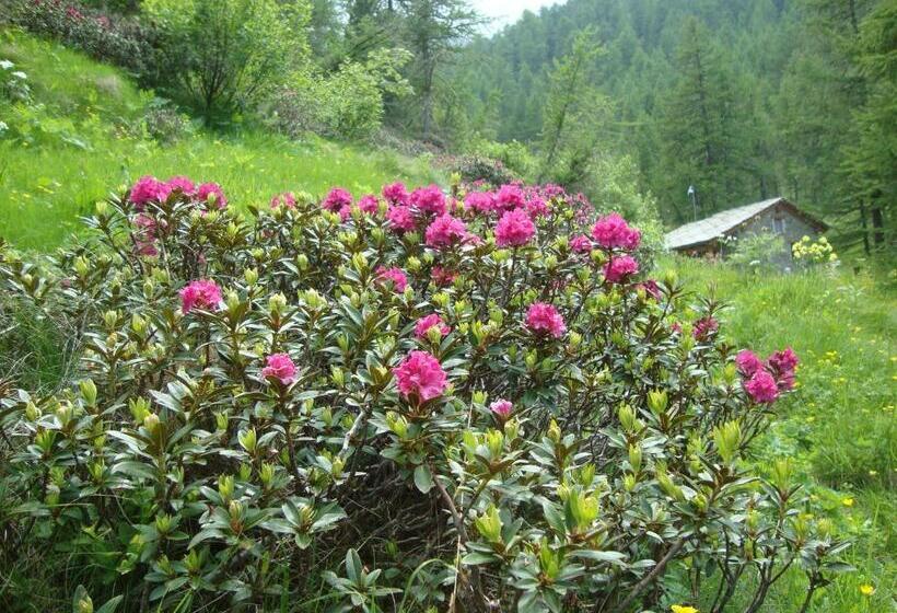 Bed & Breakfast Barba Bertu