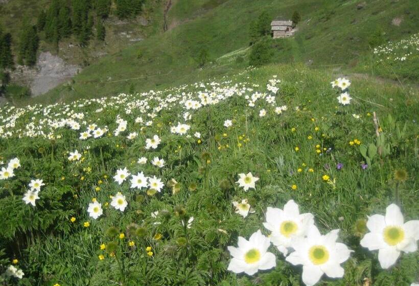 Bed & Breakfast Barba Bertu